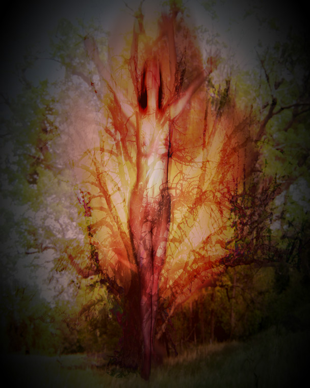 digital fine art photograph by Kelly McCormack - click to return to Gallery