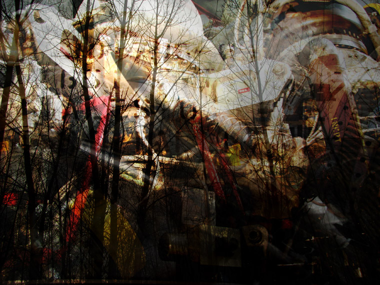 digital fine art photograph by Kelly McCormack - click to return to Gallery